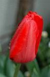 Dcim5902/DSC_3666