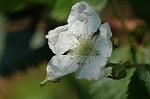 Dcim5904/DSC_3818