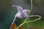 Dcim5904/DSC_3836
