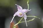 Dcim5904/DSC_3841