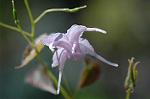 Dcim5904/DSC_3864