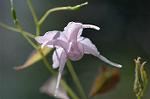 Dcim5904/DSC_3865