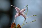 Dcim5904/DSC_3873