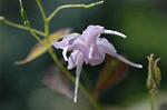 Dcim5904/DSC_3876