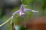 Dcim5904/DSC_3878