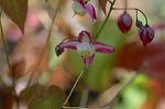 Dcim5904/DSC_3905