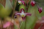Dcim5904/DSC_3906