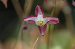 Dcim5904/DSC_3914