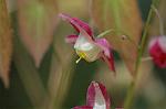 Dcim5904/DSC_3919
