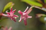 Dcim5905/DSC_3938