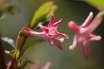 Dcim5905/DSC_3940