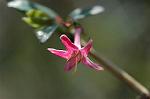 Dcim5905/DSC_3942