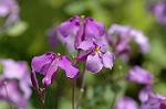 Dcim5905/DSC_3985