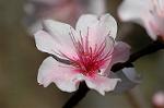 Dcim5905/DSC_4012