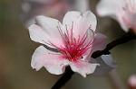 Dcim5905/DSC_4013