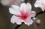 Dcim5905/DSC_4023