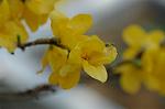 Dcim5906/DSC_4043