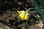 Dcim5906/DSC_4058