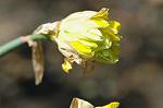 Dcim5906/DSC_4059