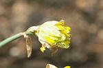 Dcim5906/DSC_4062