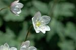Dcim5906/DSC_4075