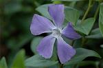Dcim5906/DSC_4107