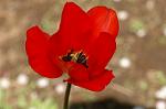 Dcim5906/DSC_4124