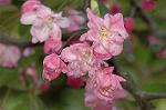 Dcim5907/DSC_4151