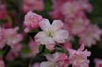 Dcim5907/DSC_4154