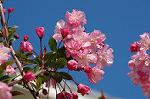 Dcim5907/DSC_4180
