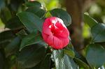 Dcim5907/DSC_4206