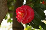 Dcim5907/DSC_4208