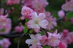 Dcim5907/DSC_4211