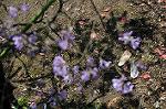 Dcim5908/DSC_9572