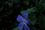 Dcim5908/DSC_9618