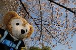 Dcim5909/DSC_9724