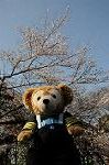 Dcim5910/DSC_9842