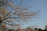 Dcim5910/DSC_9851