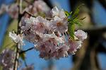Dcim5911/DSC_9886