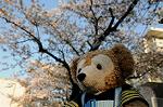 Dcim5911/DSC_9970