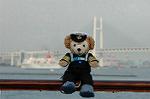 Dcim5919/DSC_4518