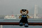 Dcim5919/DSC_4526
