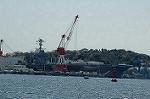 Dcim5925/DSC_4893
