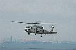 Dcim5928/DSC_5177