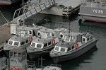Dcim5928/DSC_5239