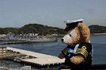 Dcim5930/DSC_0637