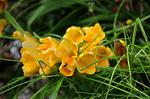 Dcim5934/DSC_1197