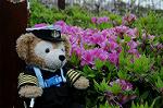 Dcim5935/DSC_1308