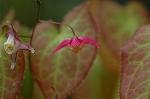 Dcim5939/DSC_5431