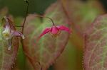 Dcim5939/DSC_5432